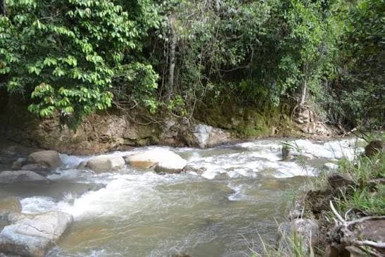images (44)